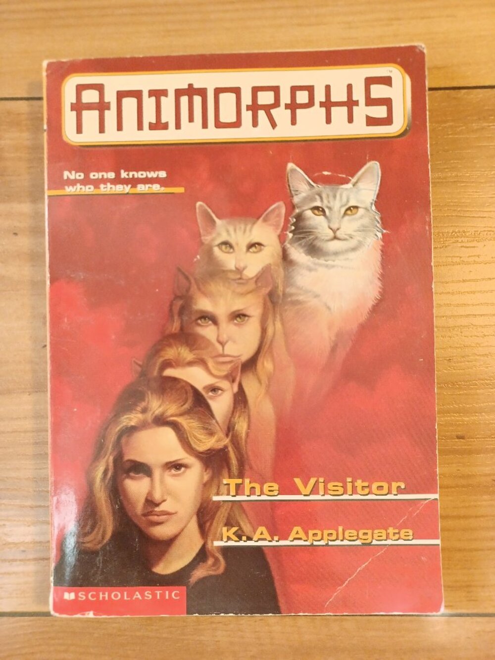 Animorphs The Visitor By K.A. Applegate Book